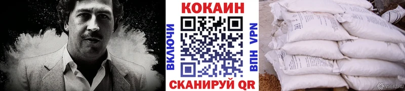 КОКАИН Fish Scale  Купить где  Ишим 