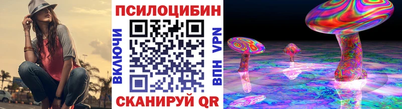 Псилоцибиновые грибы Psilocybe Ишим