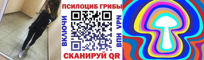 Купить закладки  Ишим  Галлюциногенные грибы MAGIC MUSHROOMS 