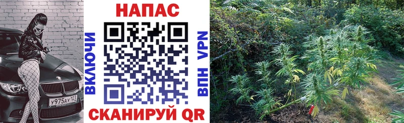 Купить где  Ишим  Марихуана LSD WEED 